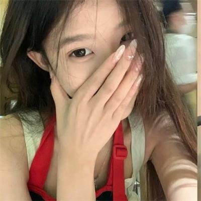帕洛玛之旅海报